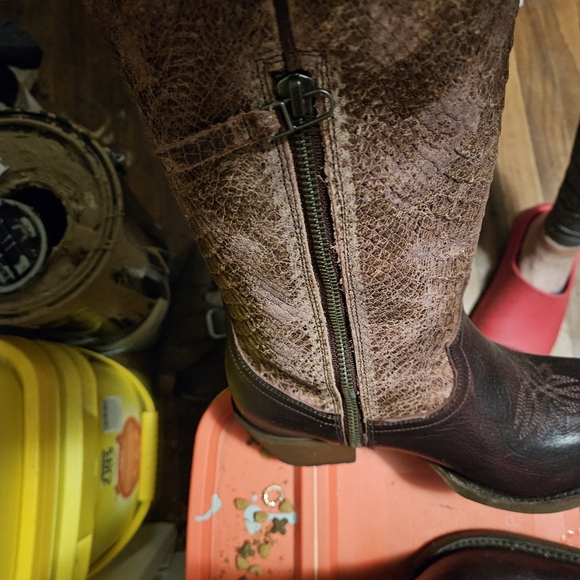 Lane wine snake print boots - Picture 2 of 8